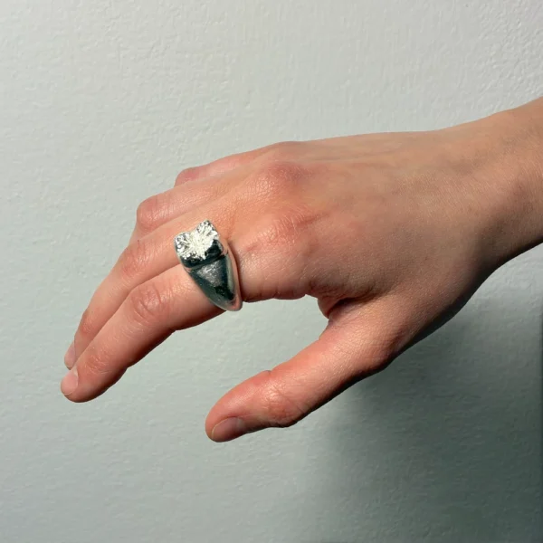 King Tooth ring in silver, worn on hand