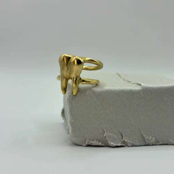 The Braced One ring in bronze, preview image